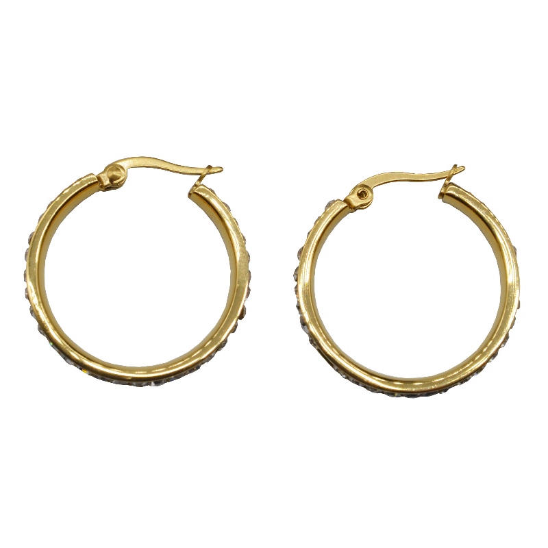 Acciaio inossidabile rotondo pietra appiccicosa Earring rfbear0033